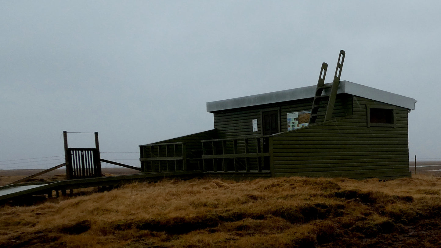 Storm in a Bird Hide