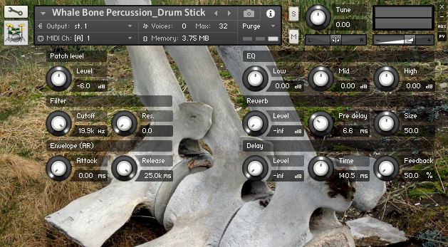 Whale Bone Percussion