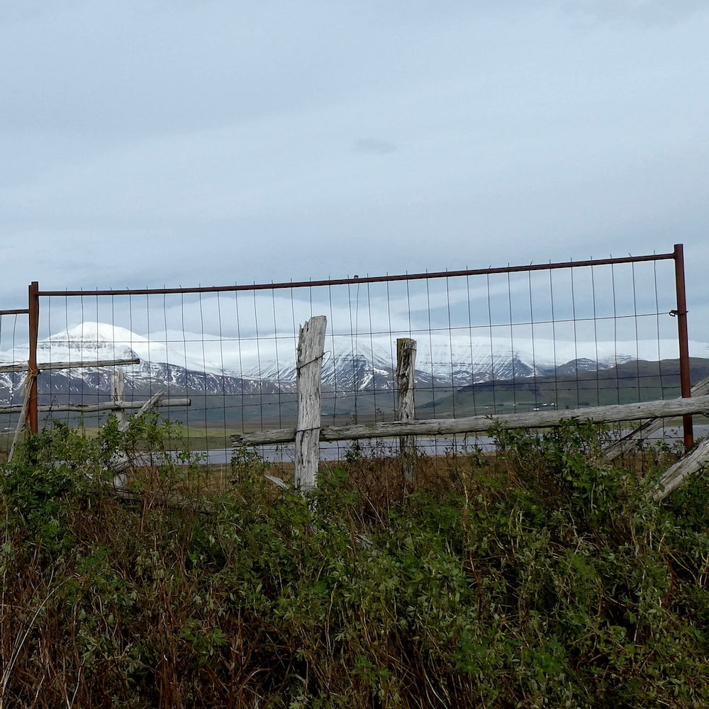 Wind Through Metal Gates