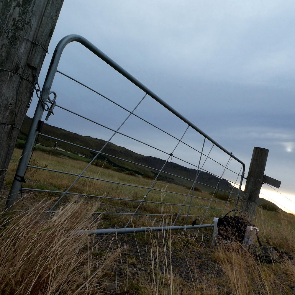 Wind Through Metal Gates