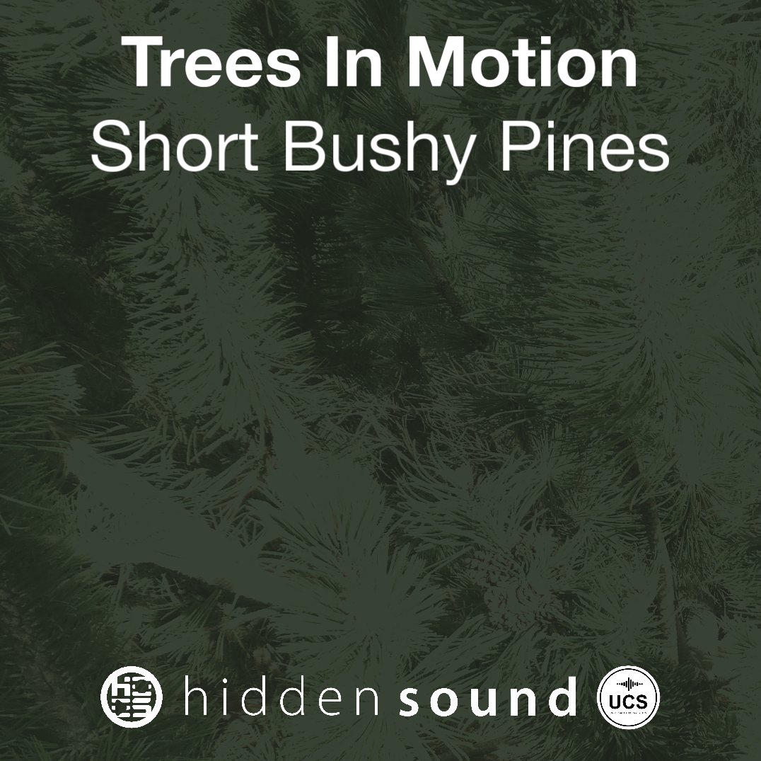Trees In Motion: Short Bushy Pines