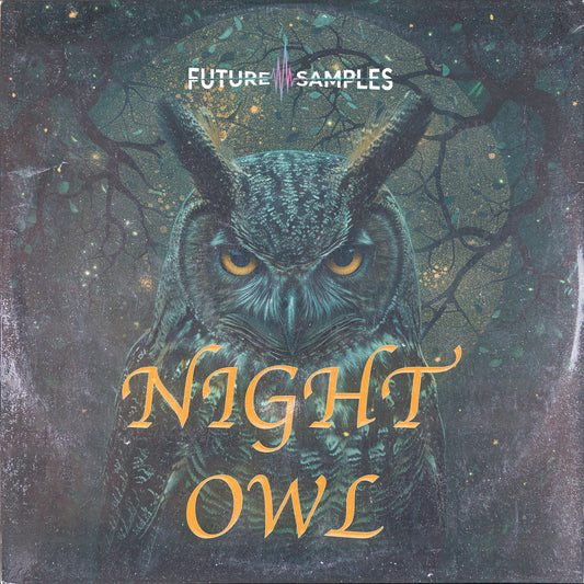 NIGHT OWL - R&B Melodies