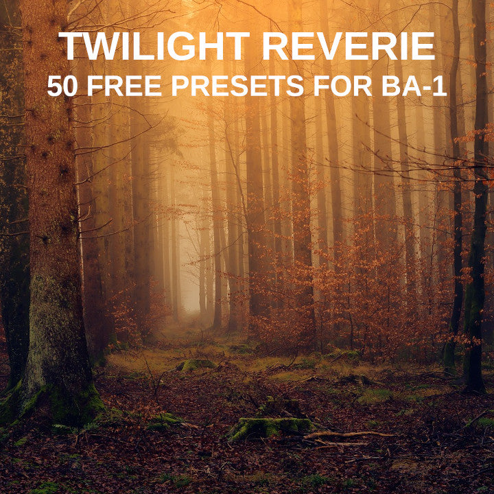 Twilight Reverie | Free BA-1 Presets