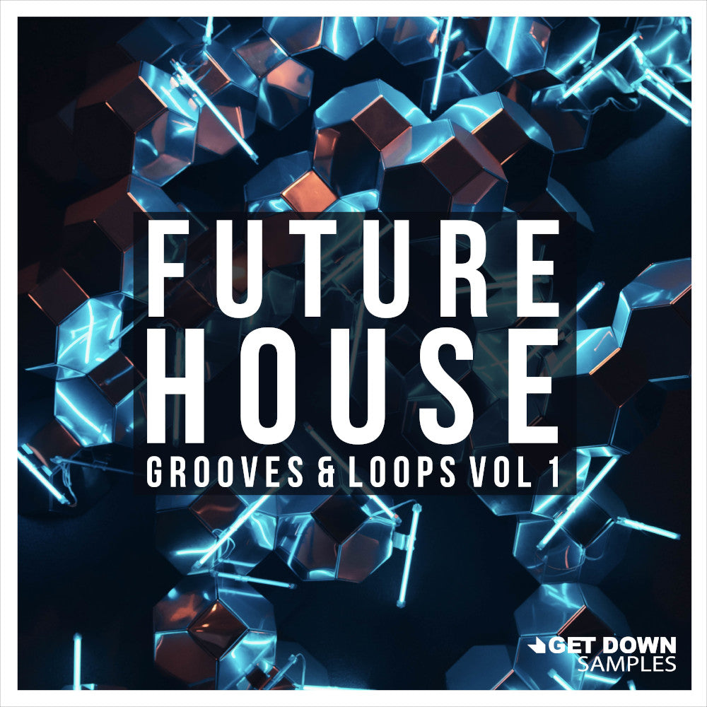 Future House Grooves & Loops sample pack