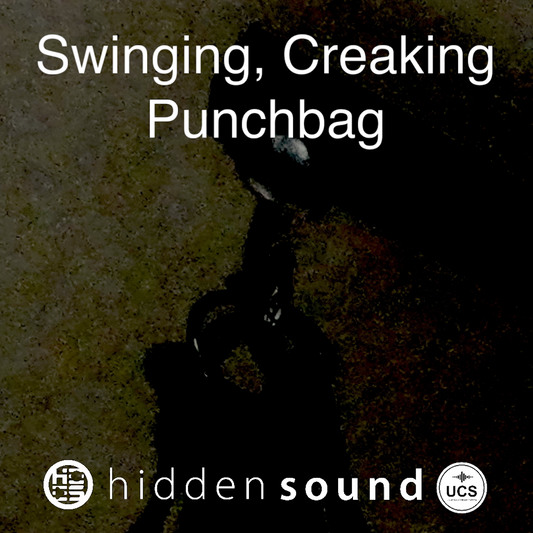 Swinging Creaking Punchbag