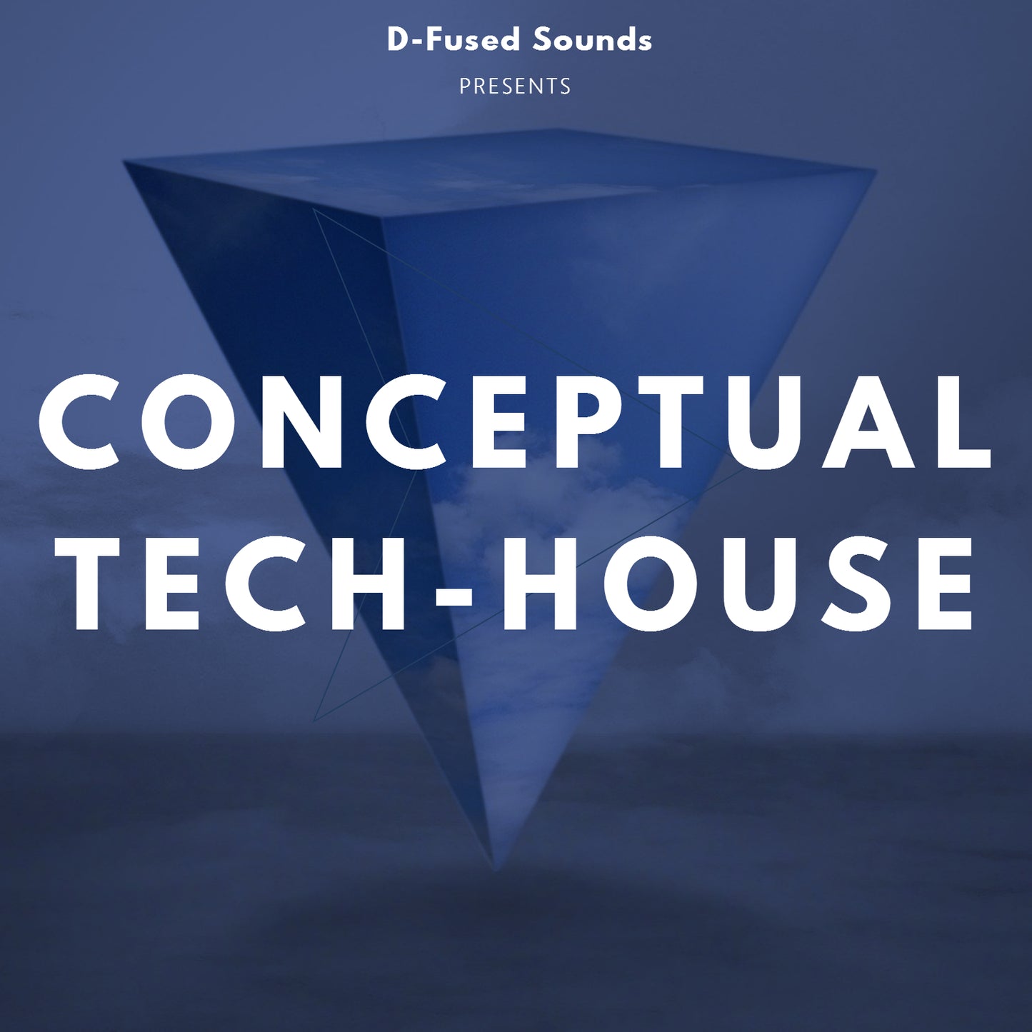 Conceptual Tech-House