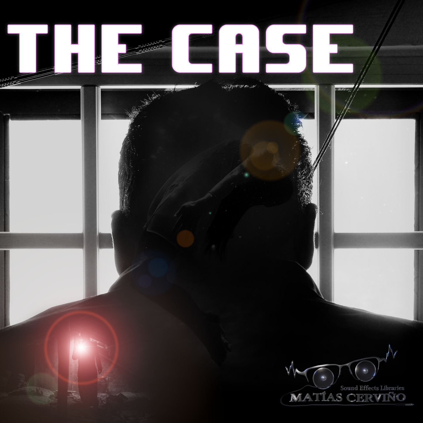 The Case