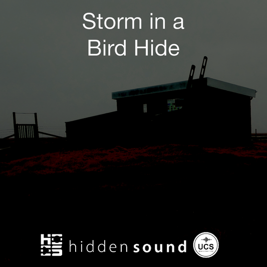 Storm in a Bird Hide
