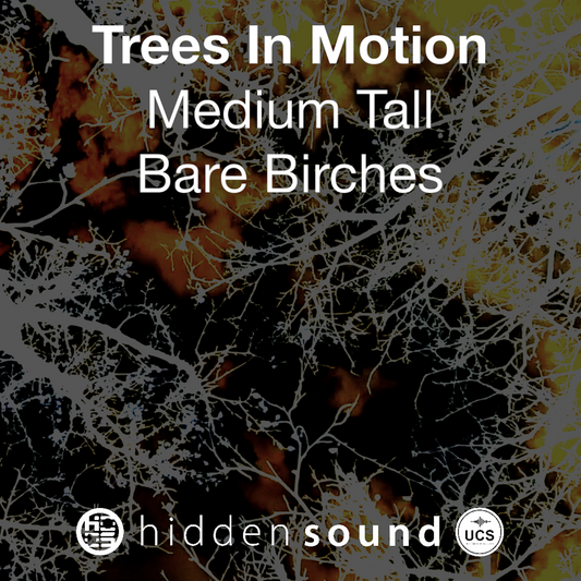 Trees In Motion: Medium Tall Bare Birches