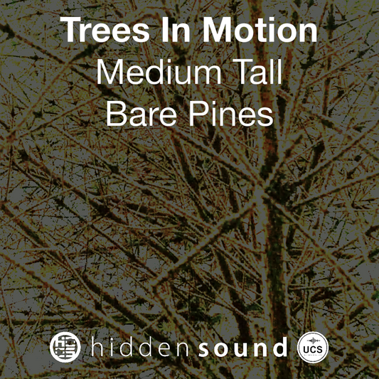 Trees In Motion: Medium Tall Bare Pines