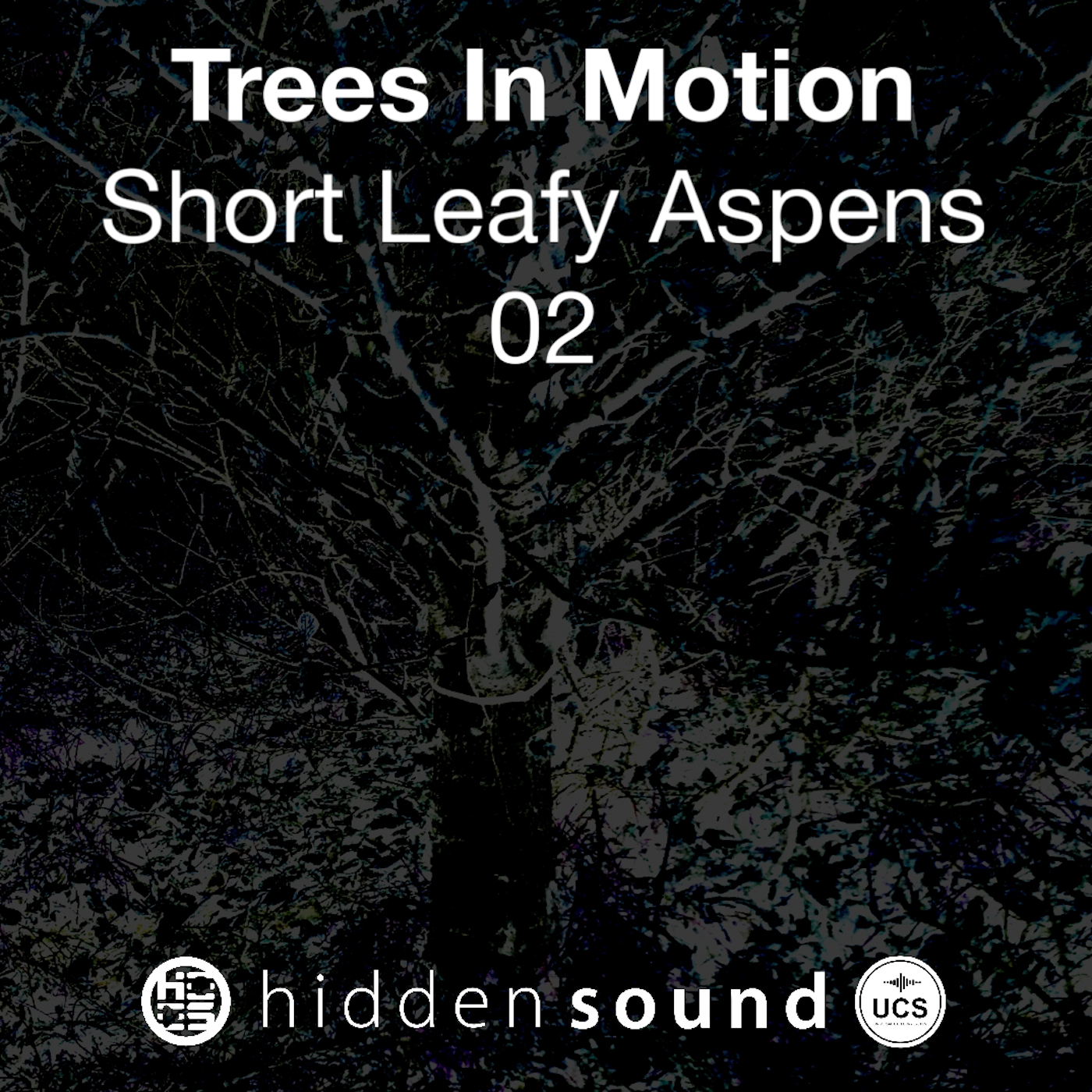 Trees In Motion: Short Leafy Aspens 02