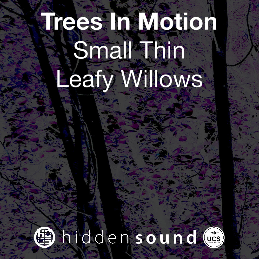 Trees In Motion: Small Thin Leafy Willows
