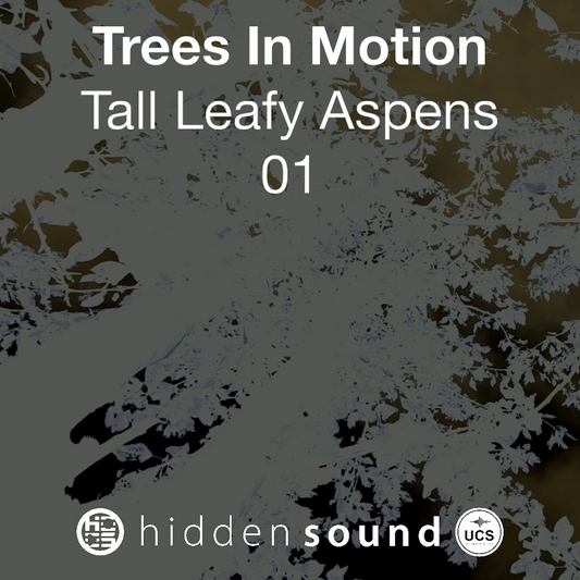 Trees In Motion: Tall Leafy Aspens 01