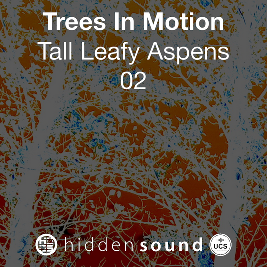 Trees In Motion: Tall Leafy Aspens 02