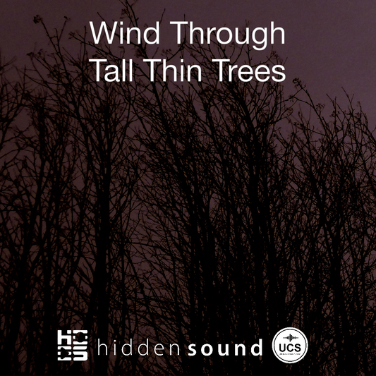 Wind Through Tall Thin Trees
